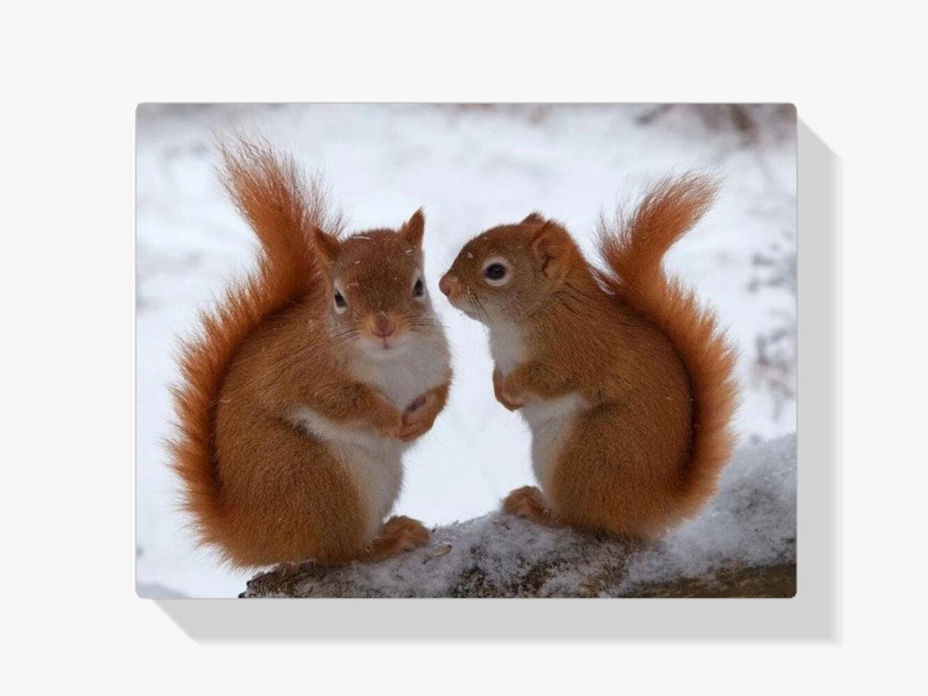 Diamantmaleri Egernpar - SEOS Shop ®