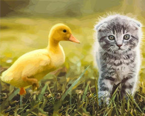 Diamantmaleri - And leger med kat - SEOS®