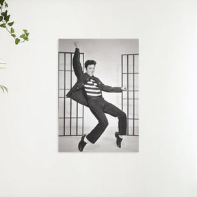 Diamantmaleri Elvis Presley danser - SEOS Shop ®