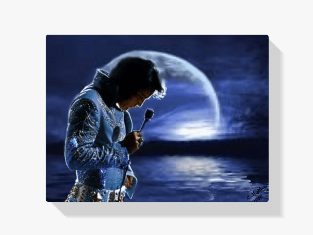 Diamantmaleri Elvis Presley om aftenen - SEOS Shop ®