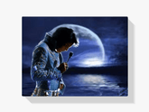 Diamantmaleri Elvis Presley om aftenen - SEOS Shop ®