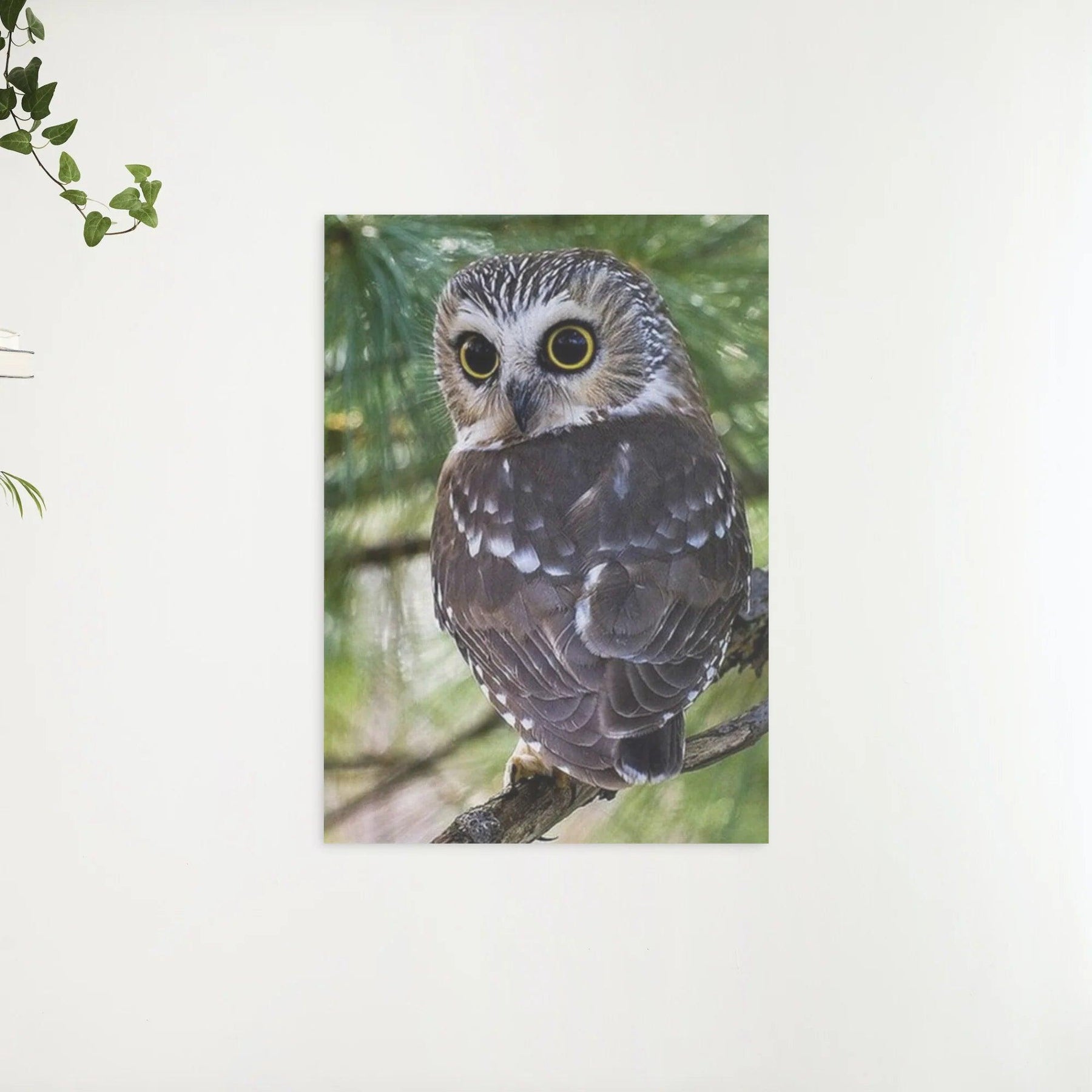 Diamantmaleri Gule Øjne Ugle - SEOS Shop ®