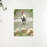 Diamantmaling Kyllinger - SEOS Shop ®