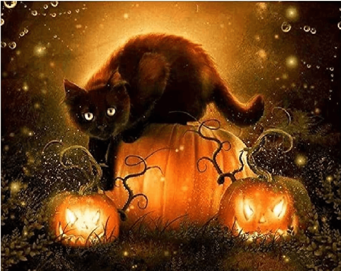 Diamantmaling Halloween Kat - SEOS Shop ®