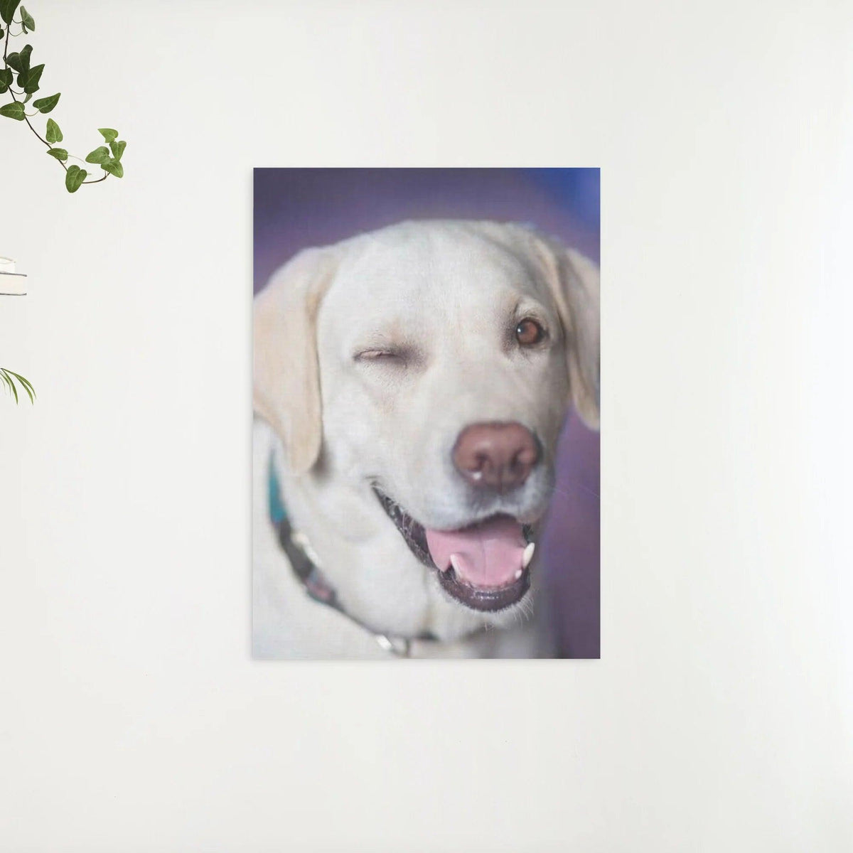 Diamantmaling Hund med blink - SEOS Shop ®