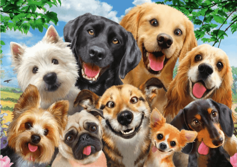 Diamantmaling Hunde Viser Tunge - SEOS Shop ®