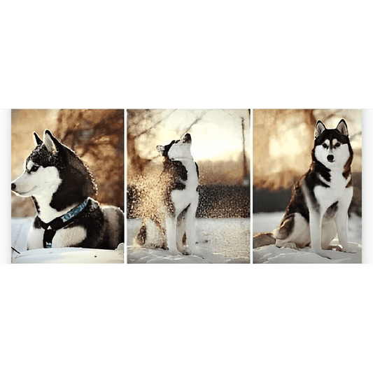 Diamantmaling Husky 3-delt - SEOS Shop ®
