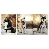 Diamantmaling Husky 3-delt - SEOS Shop ®