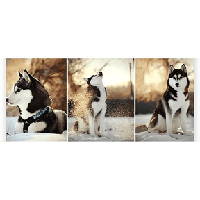 Diamantmaling Husky 3-delt - SEOS Shop ®