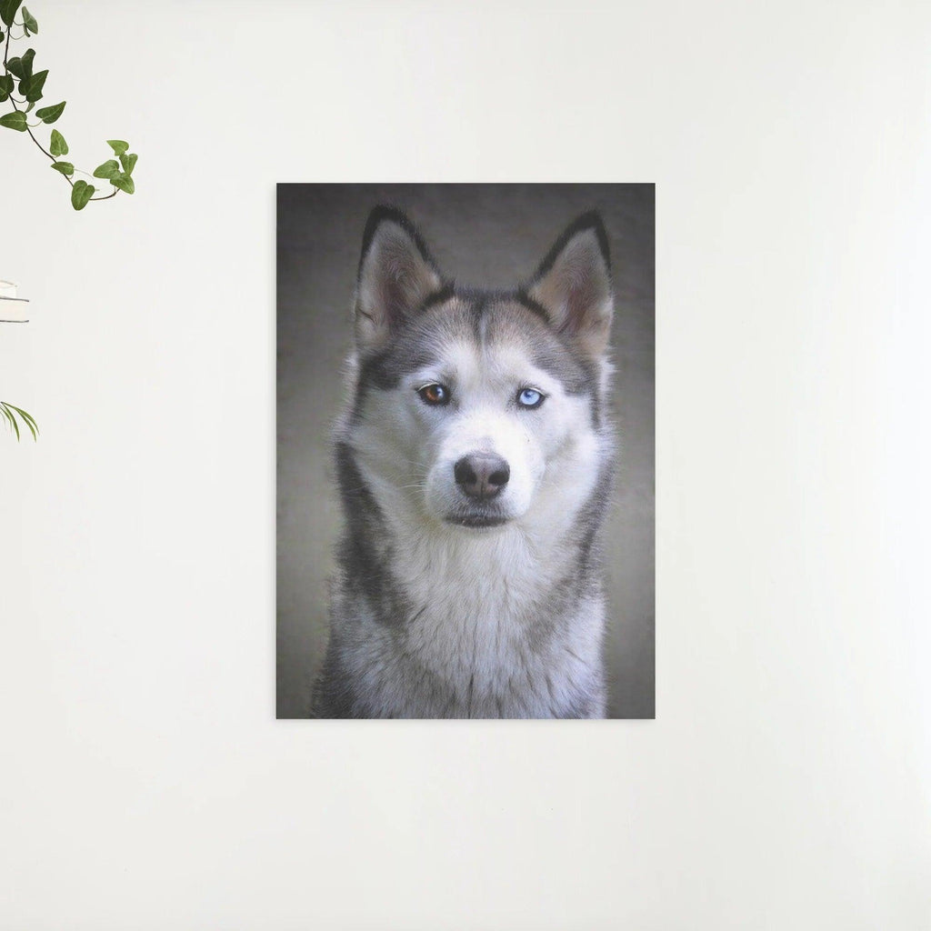 Diamantmaling Husky med hvalpøjne - SEOS Shop ®
