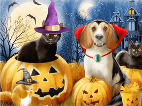 Diamantmaling Kat og Hund - SEOS Shop ®