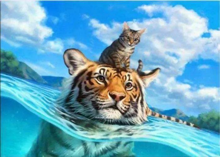 Diamantmaling - Kat og tiger i havet - SEOS®