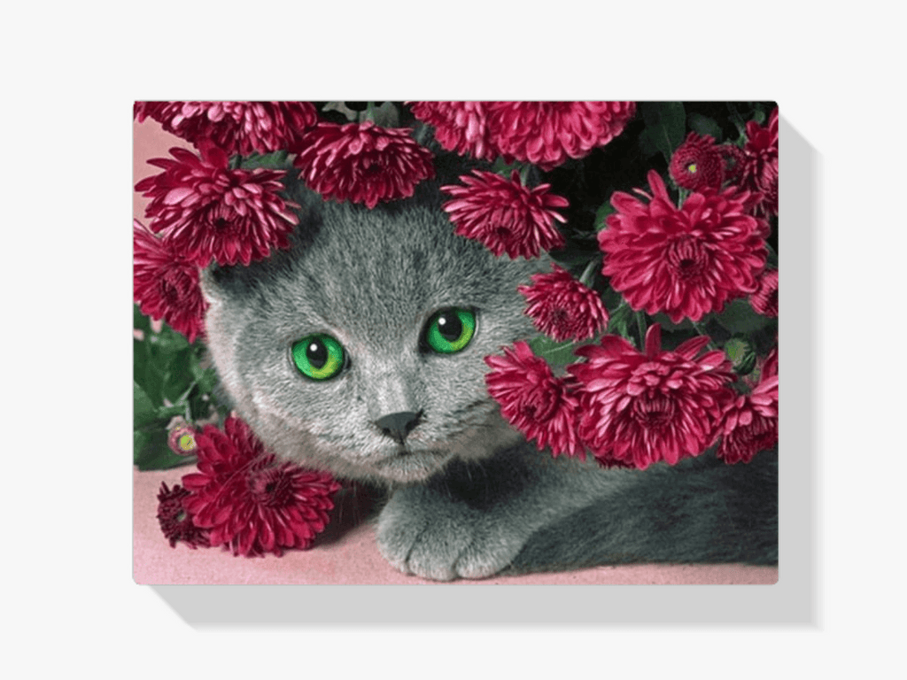 Diamantmaling Kat med Blomster - SEOS Shop ®