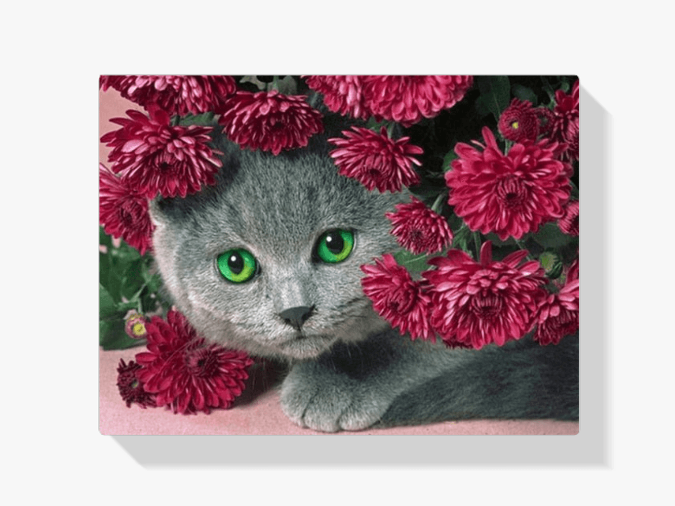 Diamantmaling Kat med Blomster - SEOS Shop ®