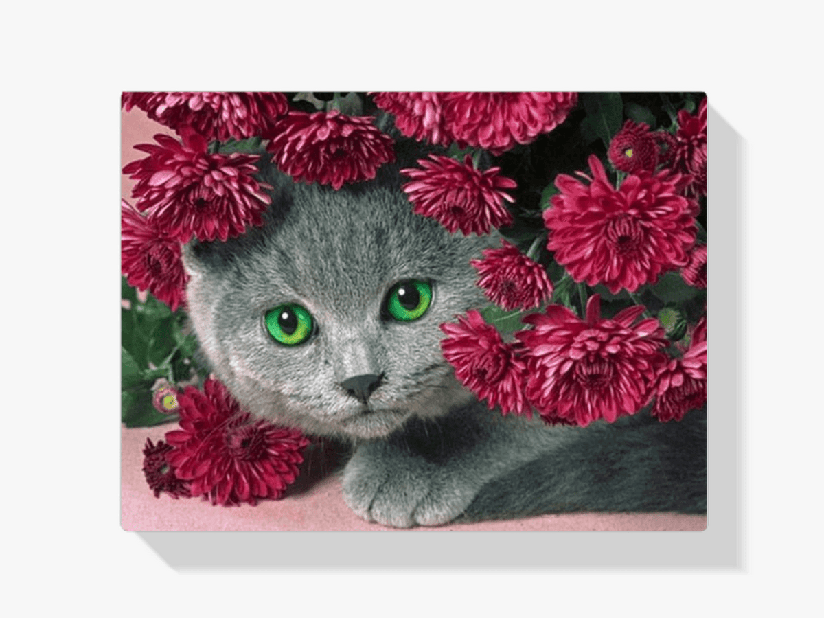 Diamantmaling Kat med Blomster - SEOS Shop ®