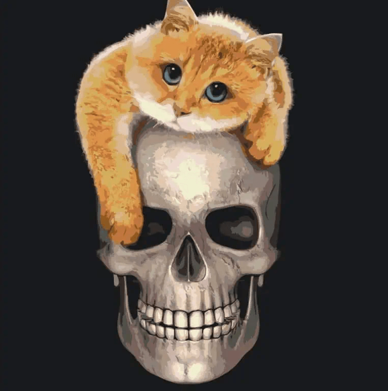 Diamantmaleri - Kat på kraniet - SEOS®