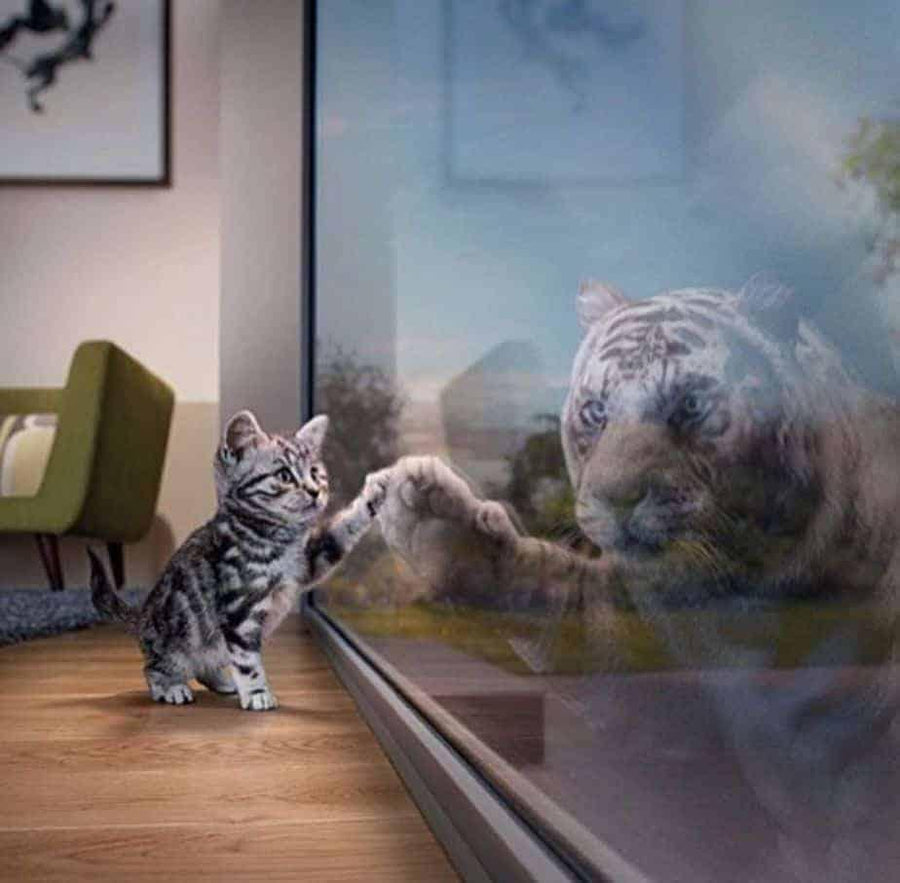 Diamantmaling Killing med Tiger – SEOS Shop ®