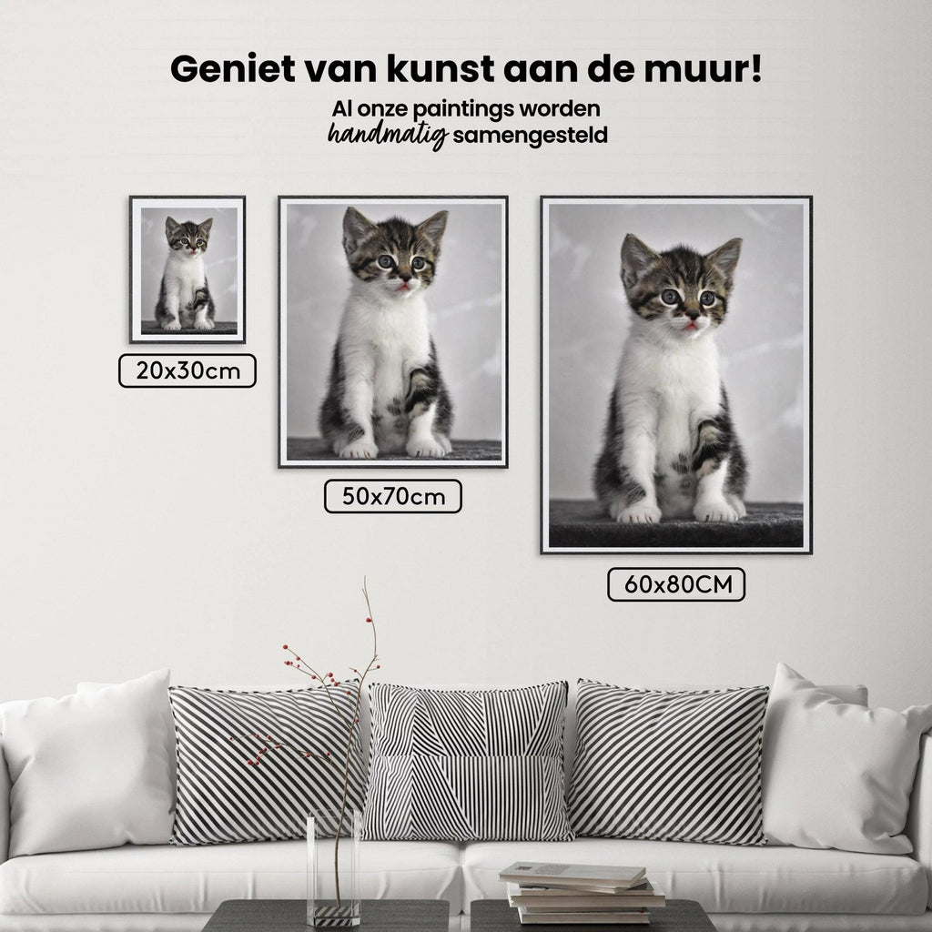 Diamantmaling Killing med Grå Øjne - SEOS Shop ®