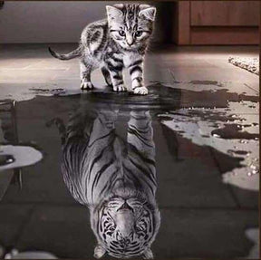 Diamantmaling fra killing til tiger – SEOS Shop ®