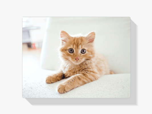 Diamantmaling Lille Killing i en Stol - SEOS Shop ® 