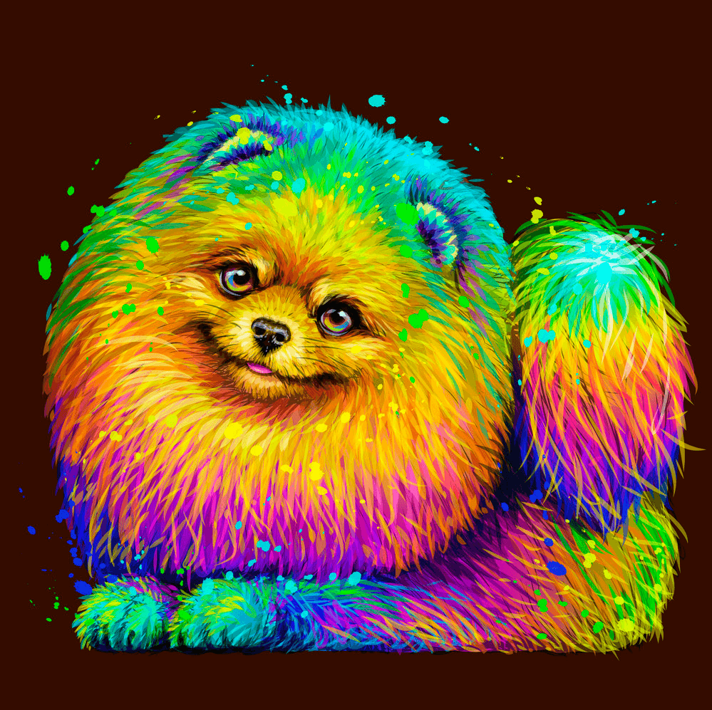 Diamantmaleri Farverig Pomeranian - SEOS Shop ®