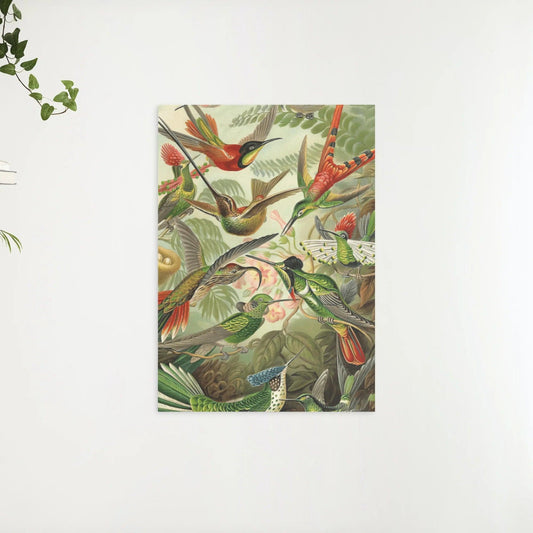 Diamantmaling Kolibrier - SEOS Shop ®