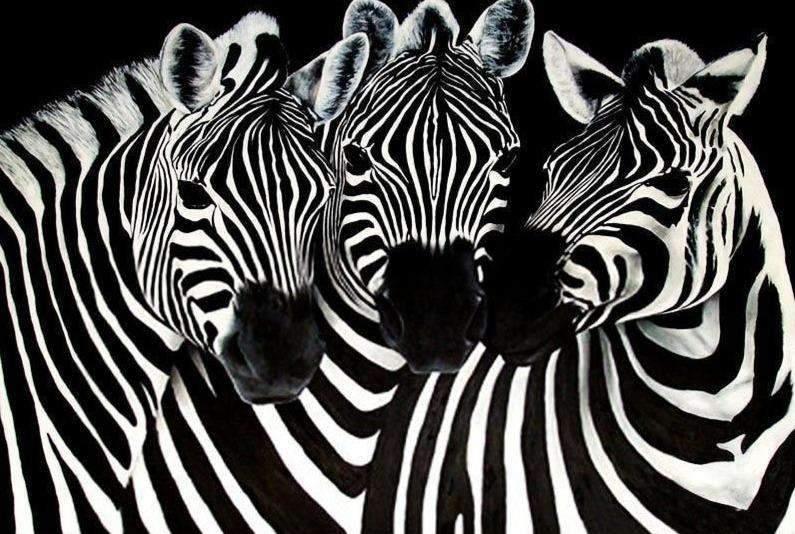 Diamantmaling Søde Zebraer – SEOS Shop ®