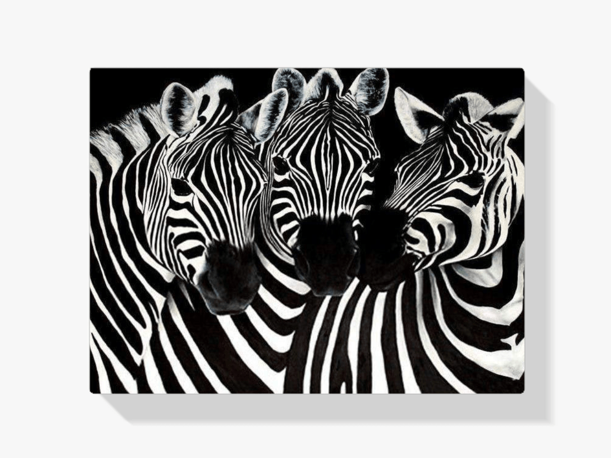 Diamantmaling Søde Zebraer – SEOS Shop ®