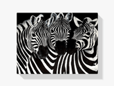 Diamantmaling Søde Zebraer – SEOS Shop ®