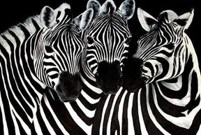 Diamantmaling Søde Zebraer – SEOS Shop ®