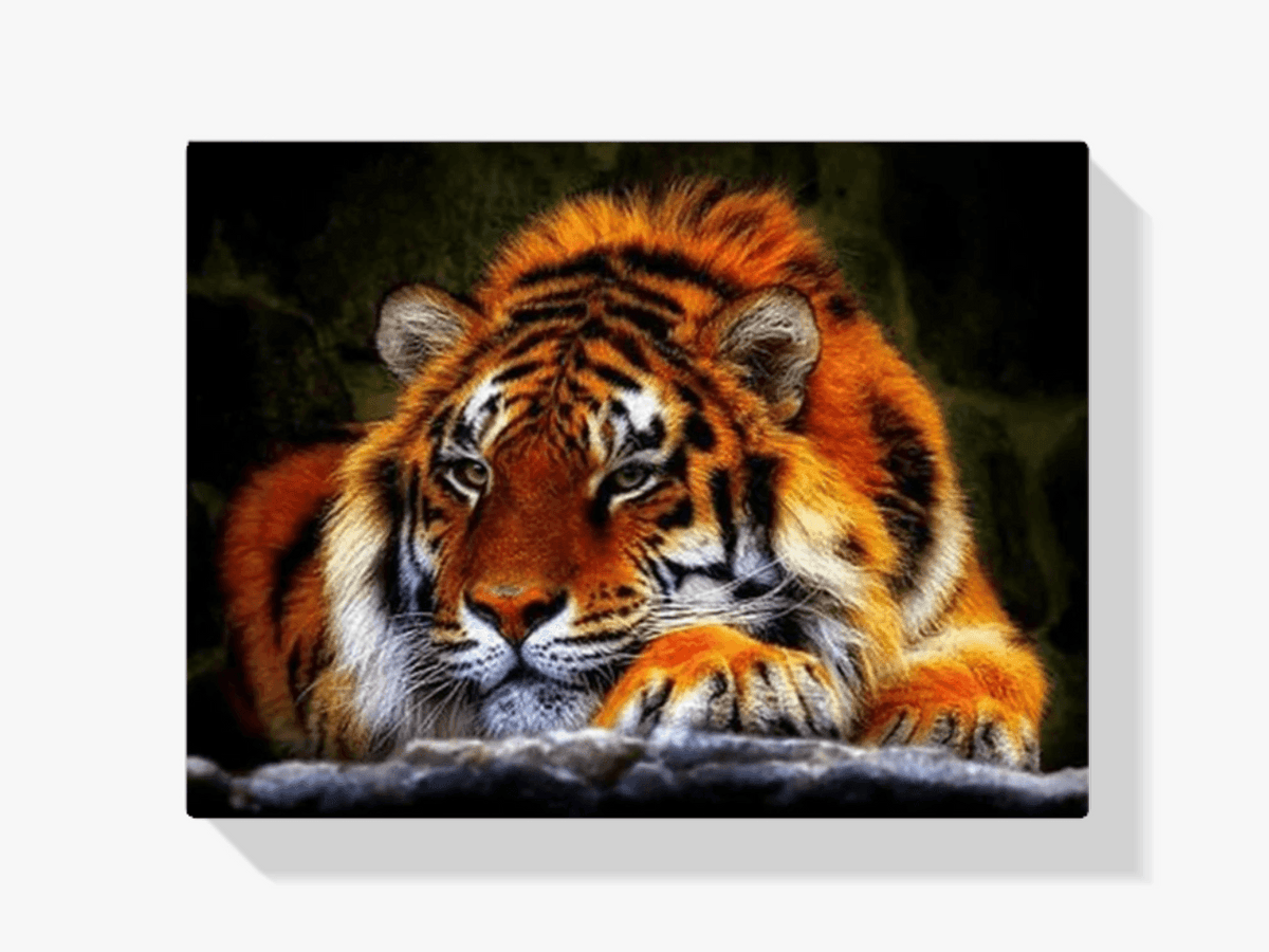 Diamantmaling Liggende Tiger - SEOS Shop ®