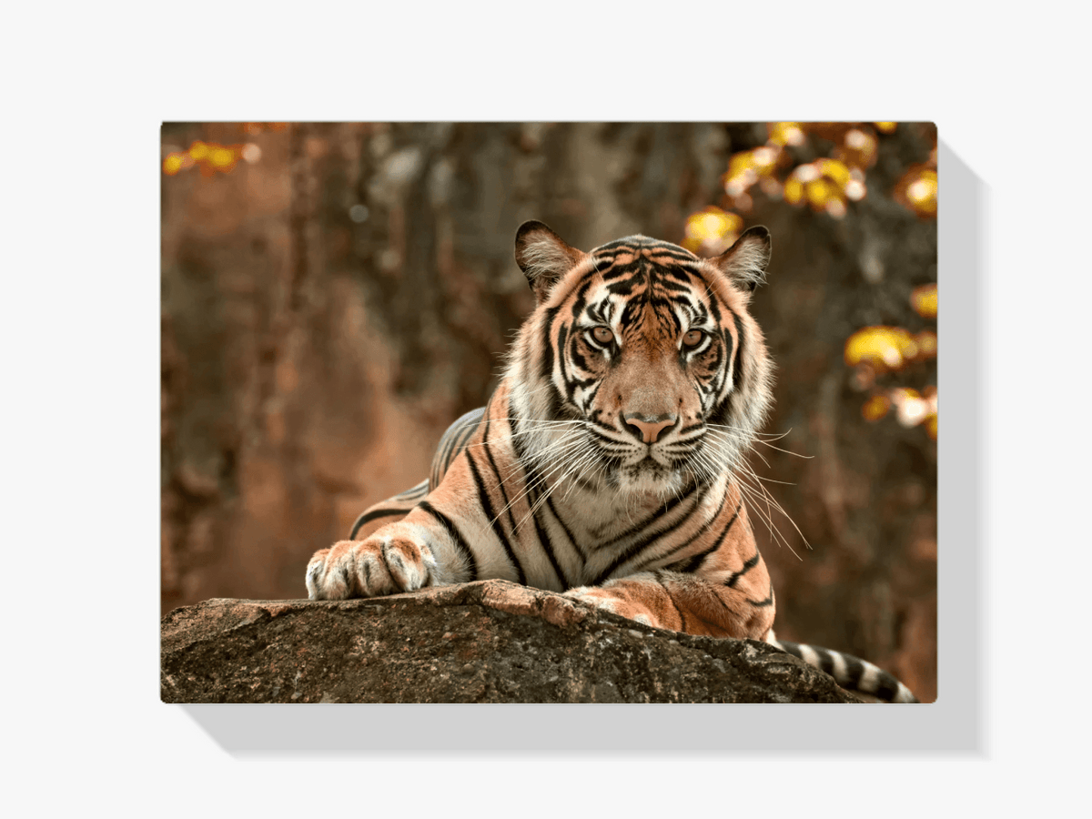 Diamantmaling Liggende Tiger - SEOS Shop ®