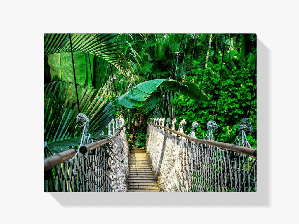 Diamantmaling Junglebro – SEOS Shop ® 