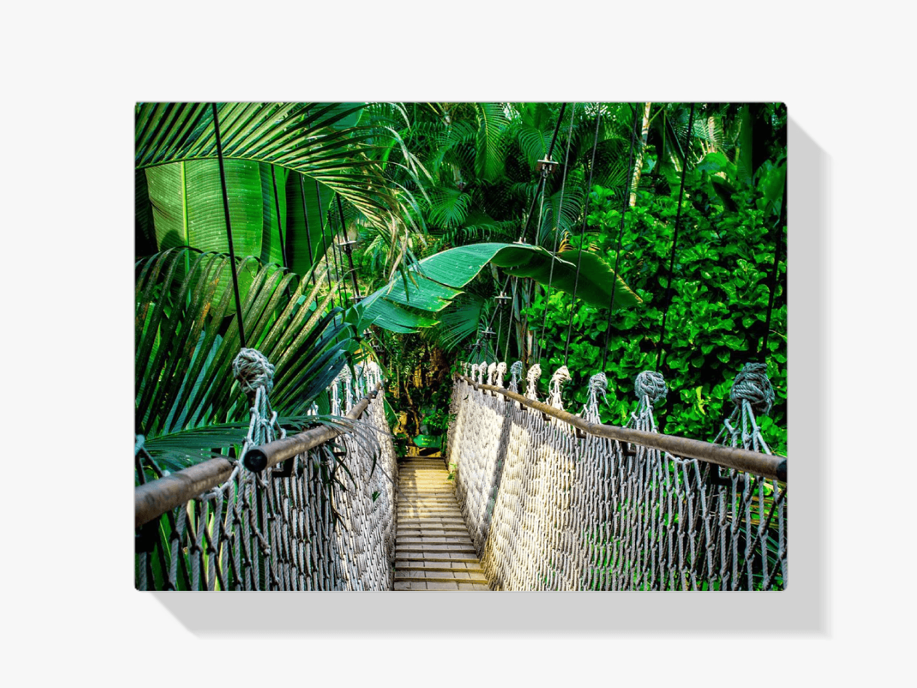Diamantmaling Junglebro – SEOS Shop ® 
