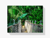 Diamantmaling Junglebro – SEOS Shop ® 