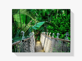 Diamantmaling Junglebro – SEOS Shop ® 