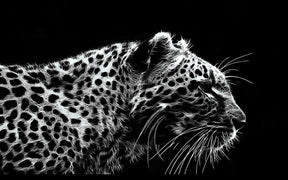 Diamantmaleri Leopard Sort og Hvid - SEOS Shop ®