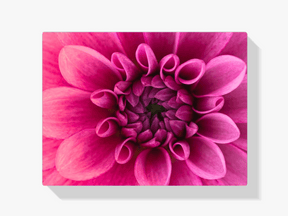 Diamantmaleri Makrobillede af blomst - SEOS Shop ®