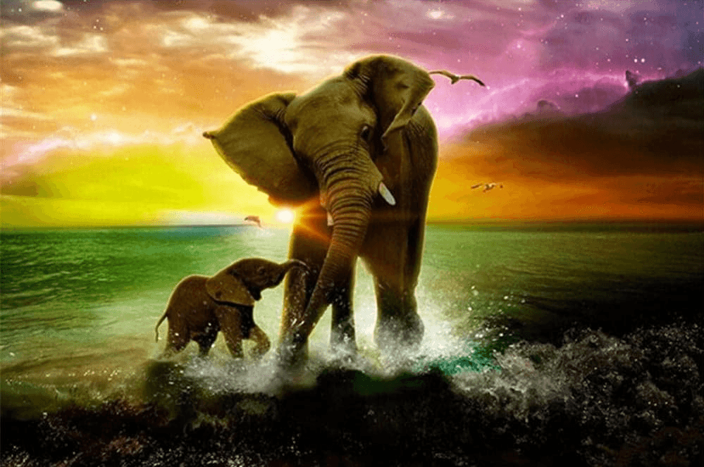Diamantmaling Elefant med Kalv - SEOS Shop®