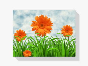 Diamantmaling Orange Tusindfryd - SEOS Shop ®