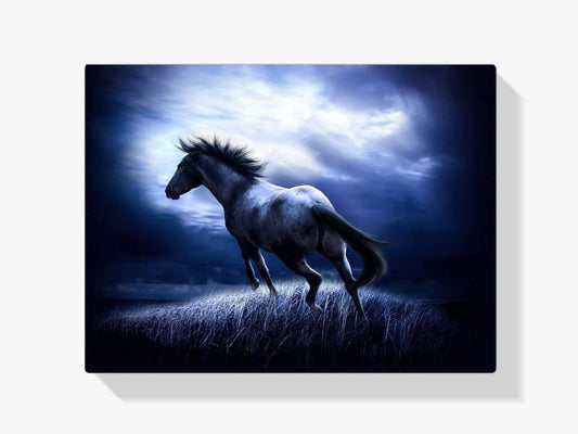 Diamantmaling Hest i mørket - SEOS Shop ®