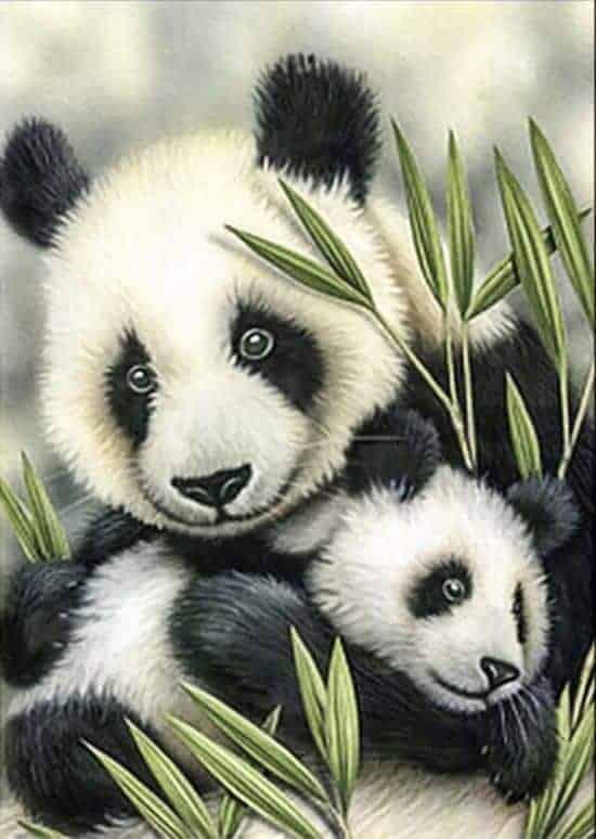 Diamantmaling Pandaer - SEOS Shop ®