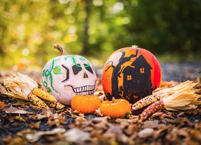 Diamantmaling Græskar Halloween - SEOS Shop ®