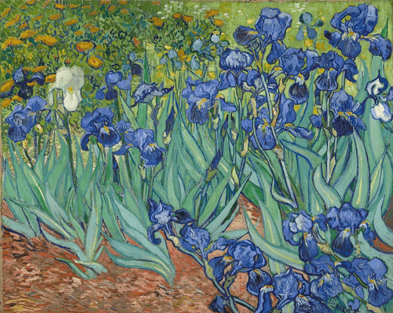 Diamantmaleri Smukke Blomster Van Gogh - SEOS Shop ®