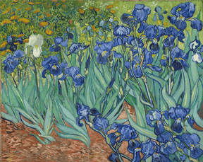 Diamantmaleri Smukke Blomster Van Gogh - SEOS Shop ®