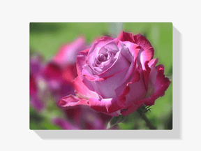 Diamantmaleri Lyserød Rose - SEOS Shop ®
