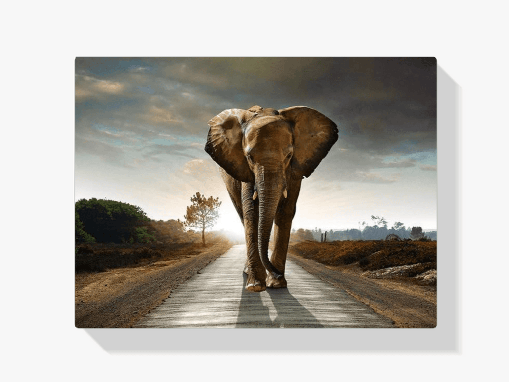 Diamantmaleri Safari Elefant - SEOS Shop ®