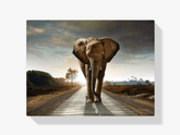 Diamantmaleri Safari Elefant - SEOS Shop ®