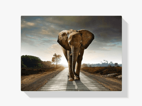 Diamantmaleri Safari Elefant - SEOS Shop ®