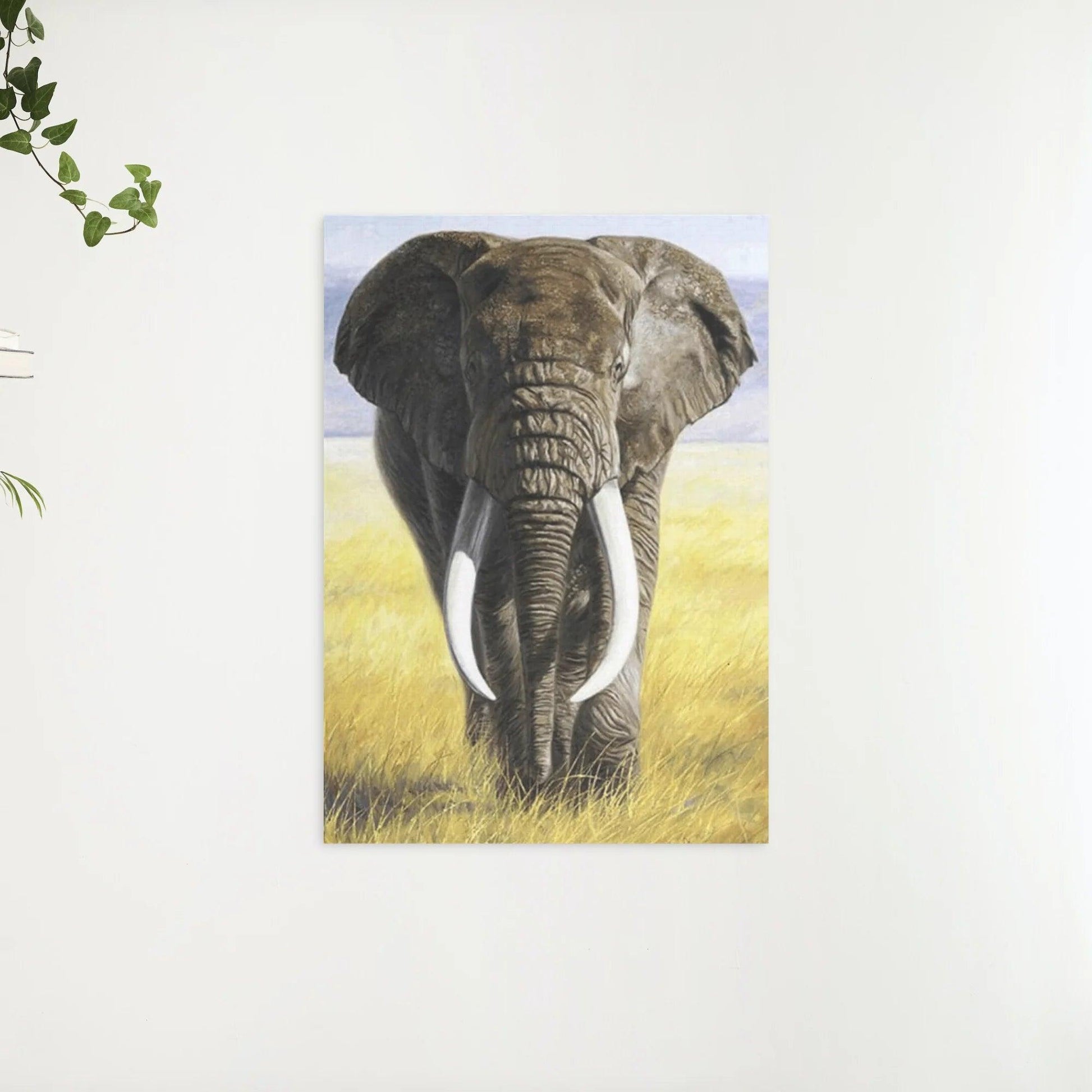 Diamantmaling Safarielefant med stødtænder - SEOS Shop ®